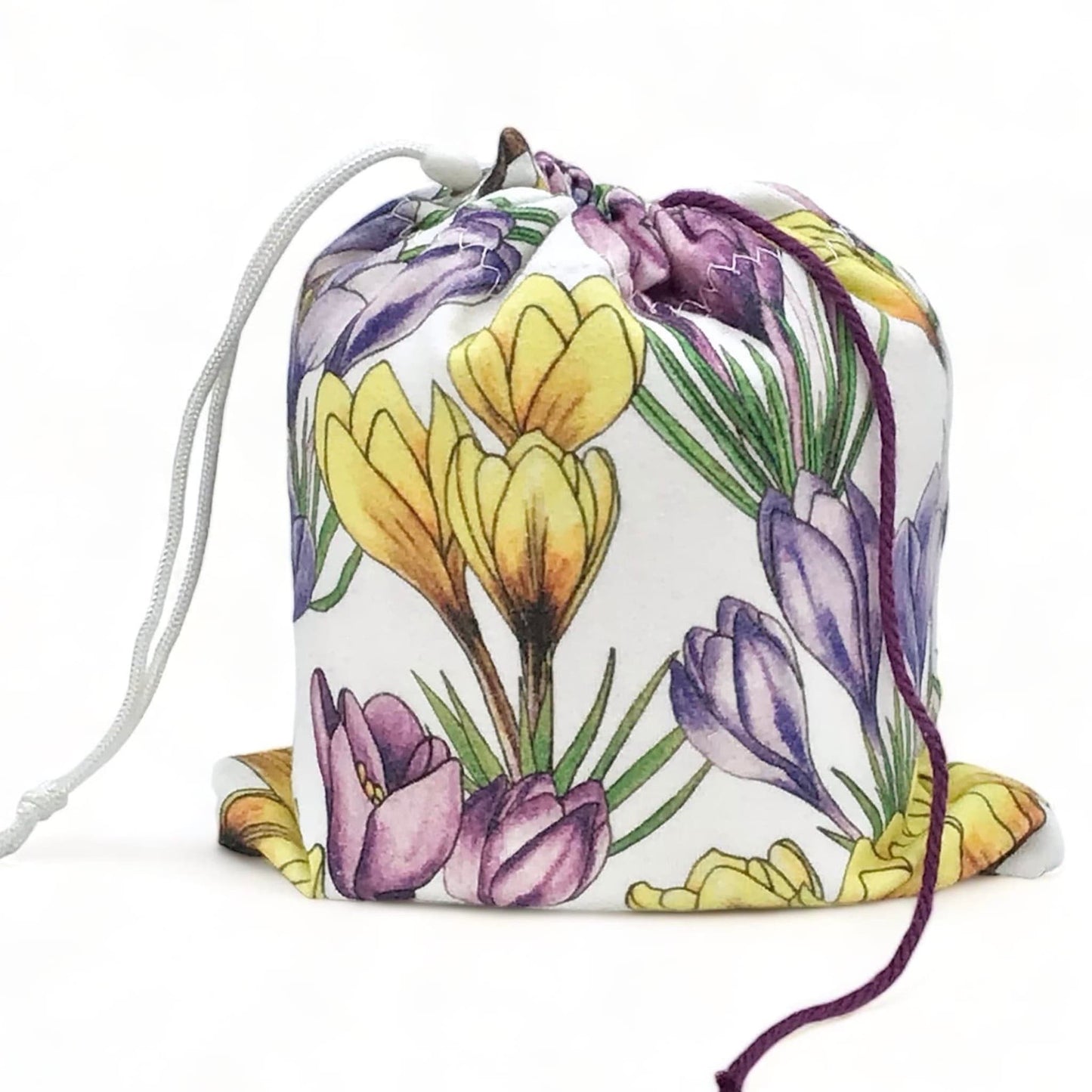 Purple & Yellow Crocus