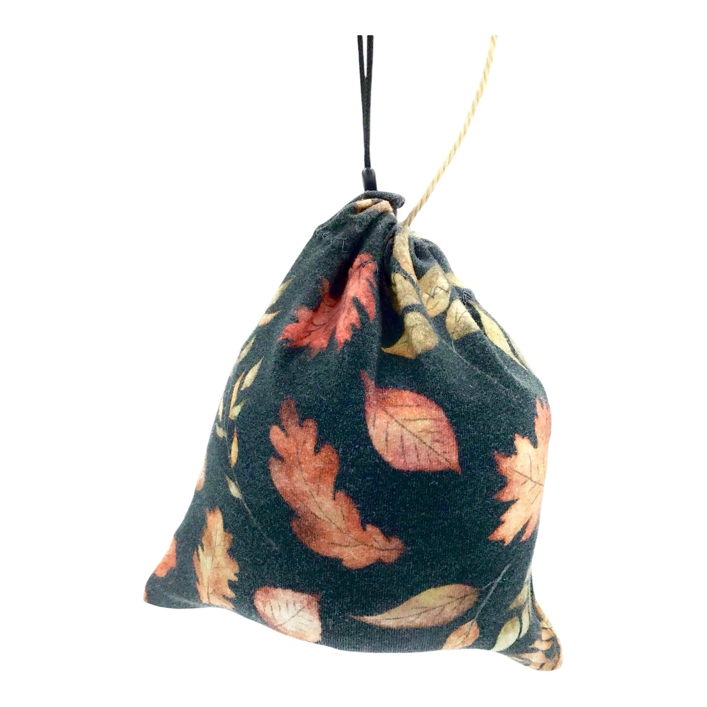 Autumn Leaves on a Forest Path