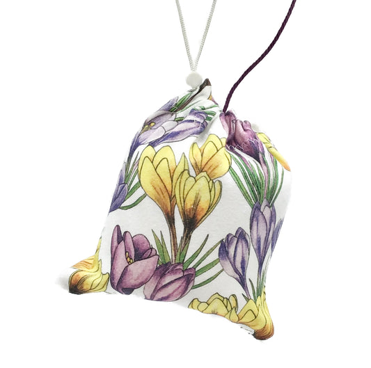 Purple & Yellow Crocus